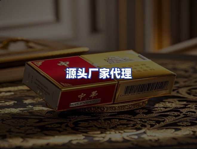 专业团队